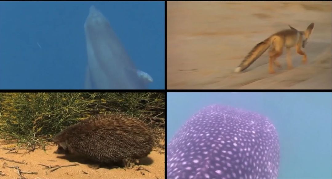 �й����ط�����(�ɷ�)���޹�˾-�ٷ���վ