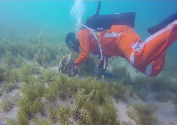 �й����ط�����(�ɷ�)���޹�˾-�ٷ���վ