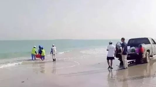 �й����ط�����(�ɷ�)���޹�˾-�ٷ���վ