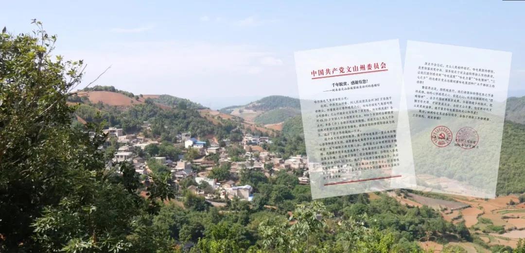 �й����ط�����(�ɷ�)���޹�˾-�ٷ���վ