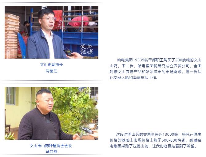 �й����ط�����(�ɷ�)���޹�˾-�ٷ���վ