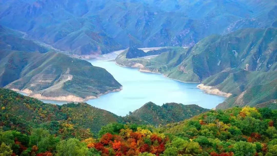 �й����ط�����(�ɷ�)���޹�˾-�ٷ���վ