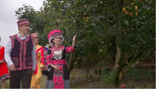 �й����ط�����(�ɷ�)���޹�˾-�ٷ���վ