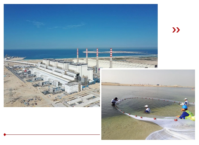 �й����ط�����(�ɷ�)���޹�˾-�ٷ���վ