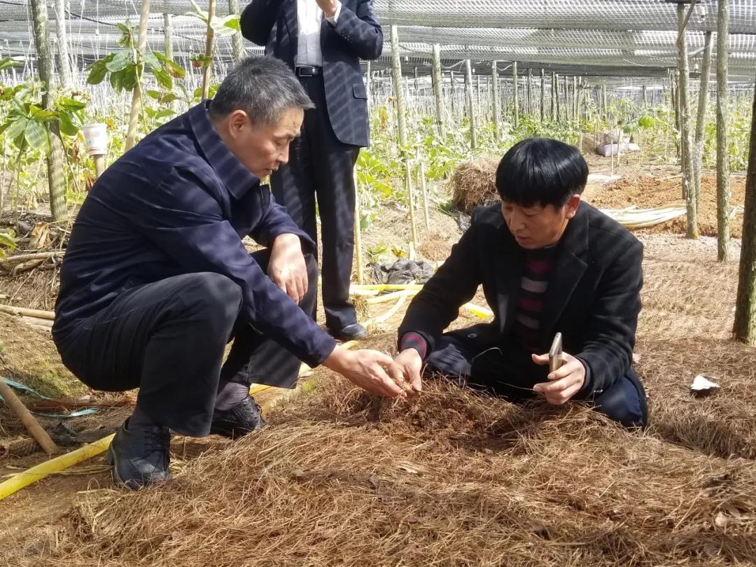 �й����ط�����(�ɷ�)���޹�˾-�ٷ���վ