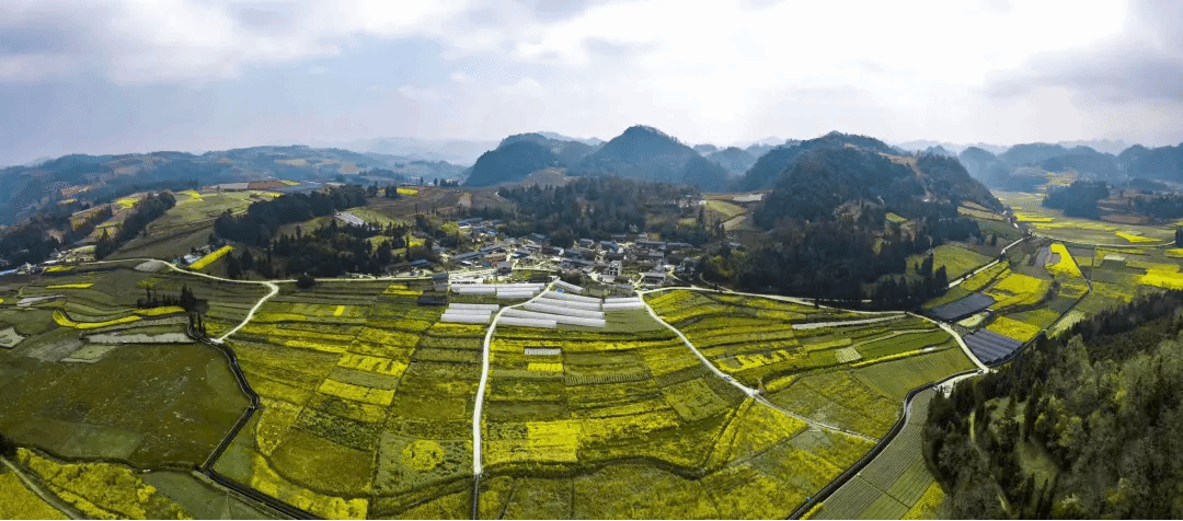 �й����ط�����(�ɷ�)���޹�˾-�ٷ���վ