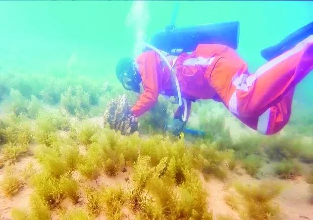 �й����ط�����(�ɷ�)���޹�˾-�ٷ���վ