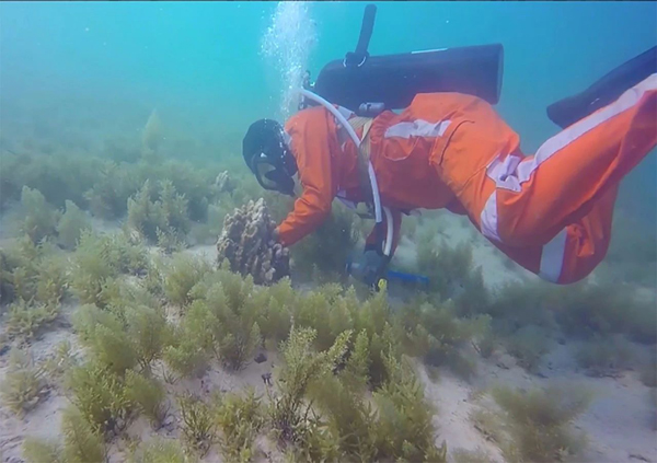 �й����ط�����(�ɷ�)���޹�˾-�ٷ���վ