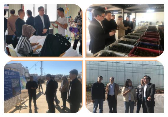 �й����ط�����(�ɷ�)���޹�˾-�ٷ���վ