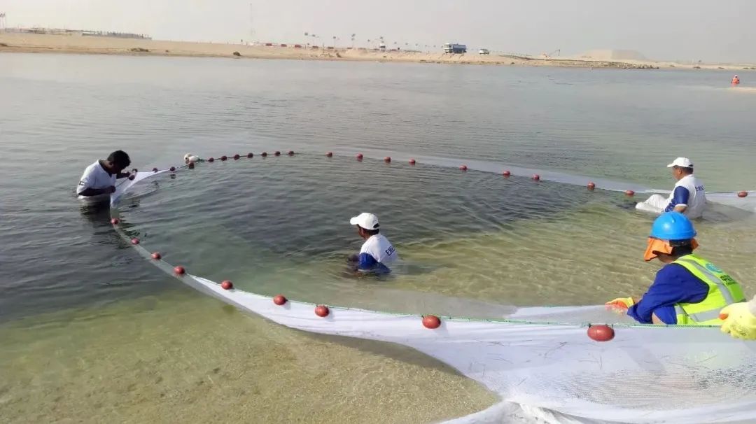 �й����ط�����(�ɷ�)���޹�˾-�ٷ���վ