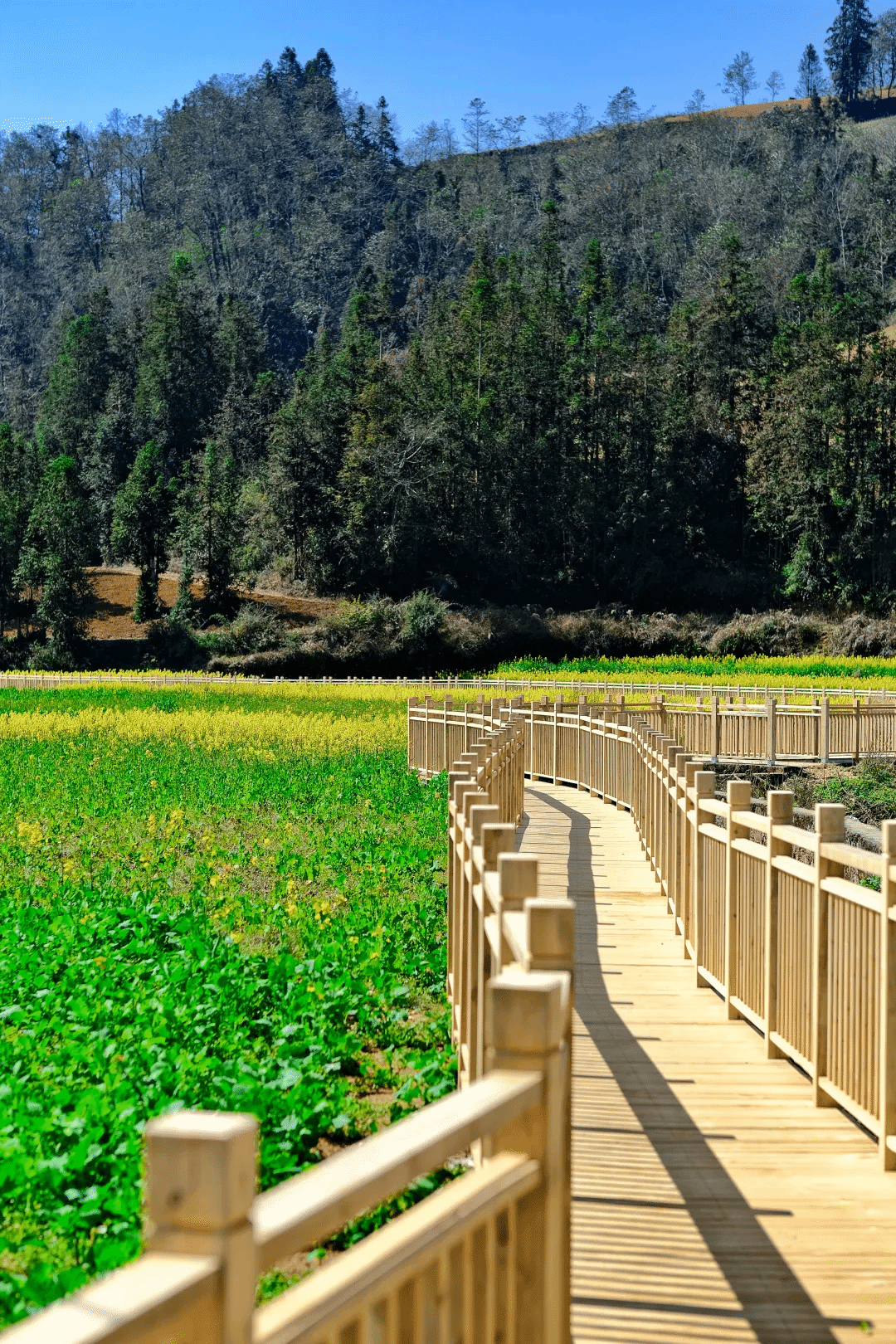 �й����ط�����(�ɷ�)���޹�˾-�ٷ���վ