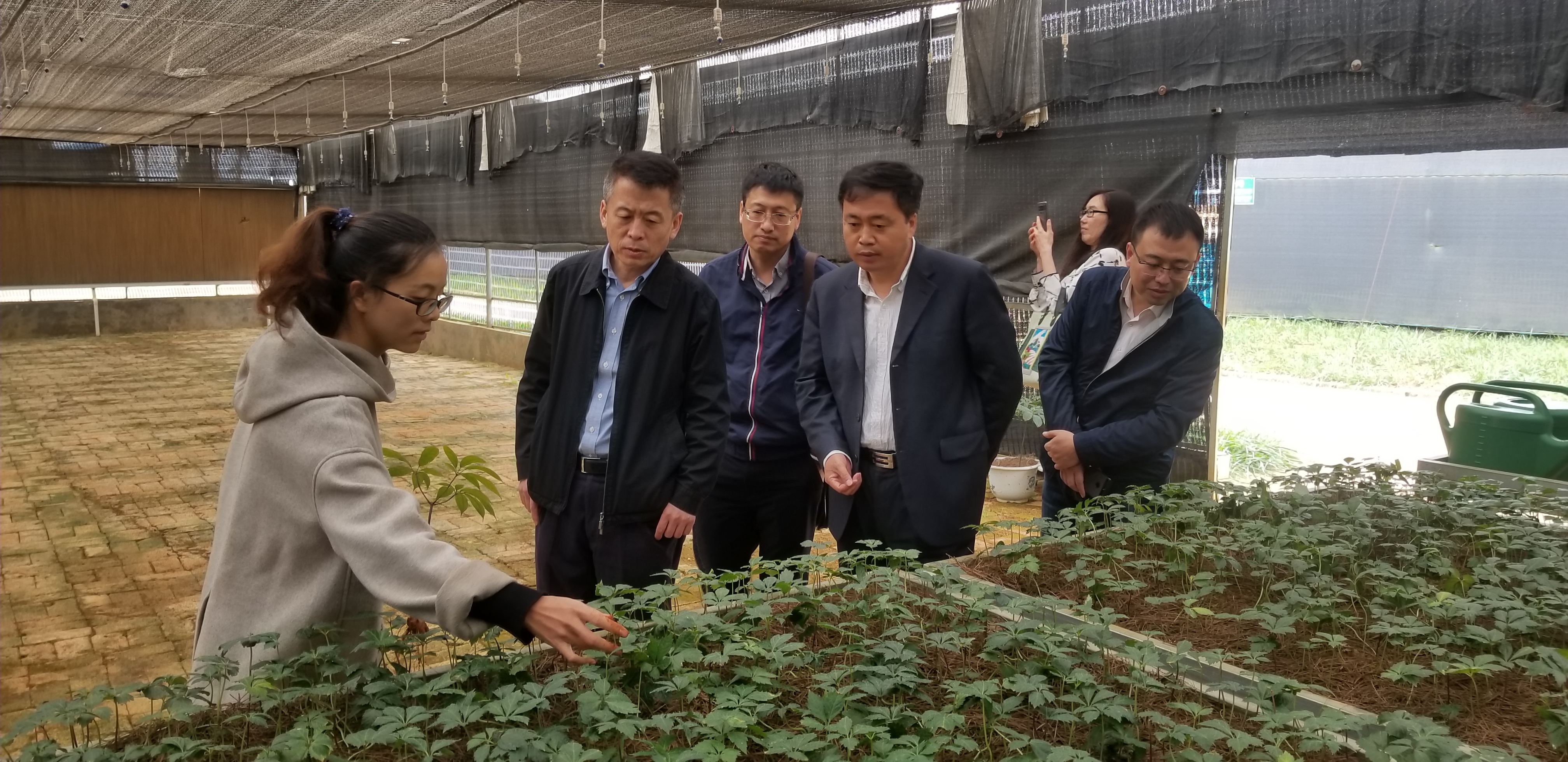 �й����ط�����(�ɷ�)���޹�˾-�ٷ���վ