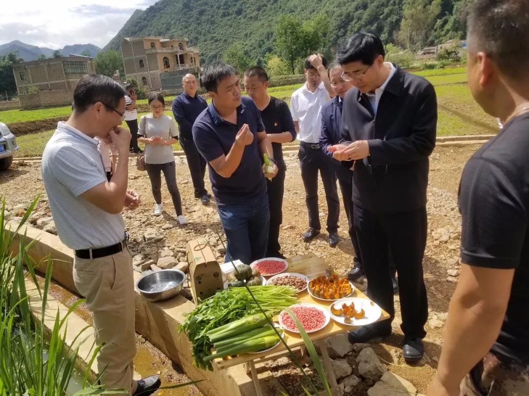 �й����ط�����(�ɷ�)���޹�˾-�ٷ���վ