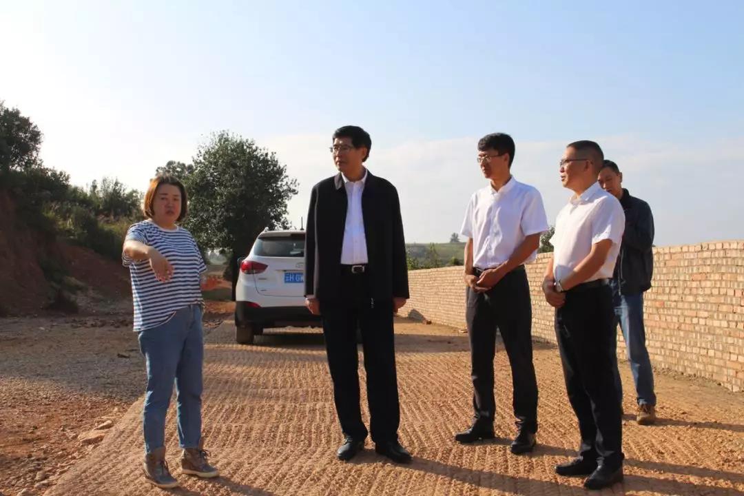 �й����ط�����(�ɷ�)���޹�˾-�ٷ���վ