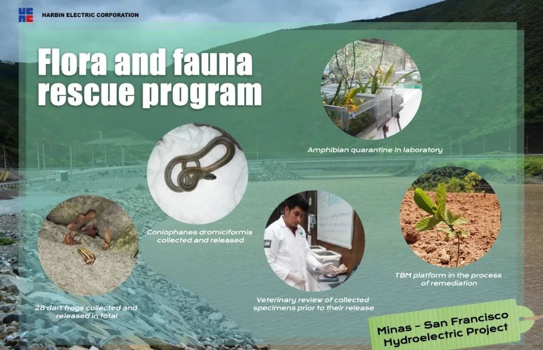 �й����ط�����(�ɷ�)���޹�˾-�ٷ���վ