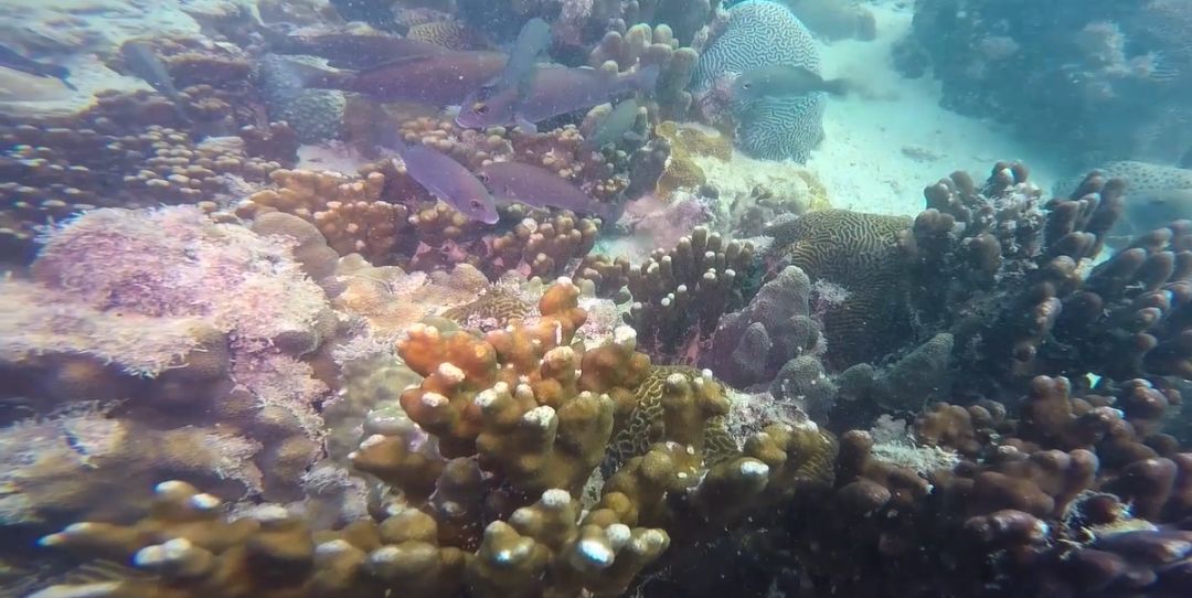 �й����ط�����(�ɷ�)���޹�˾-�ٷ���վ