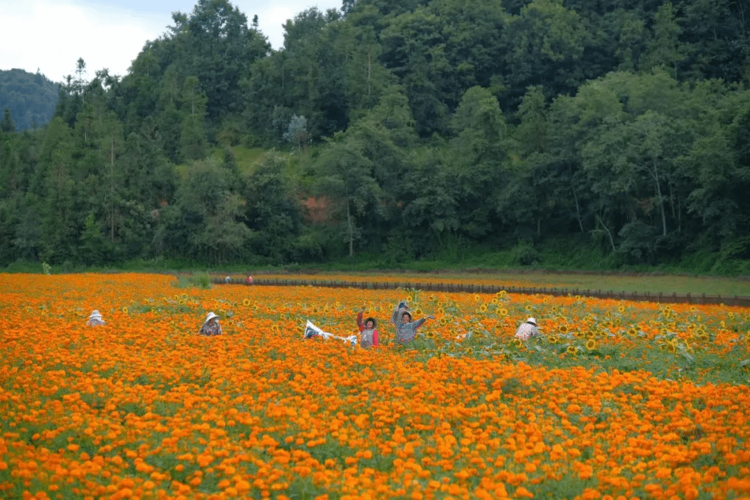 �й����ط�����(�ɷ�)���޹�˾-�ٷ���վ