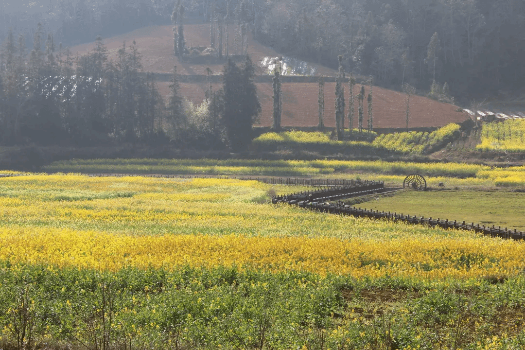 �й����ط�����(�ɷ�)���޹�˾-�ٷ���վ