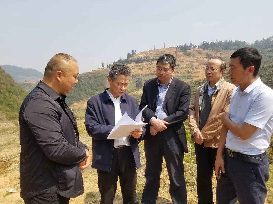 �й����ط�����(�ɷ�)���޹�˾-�ٷ���վ