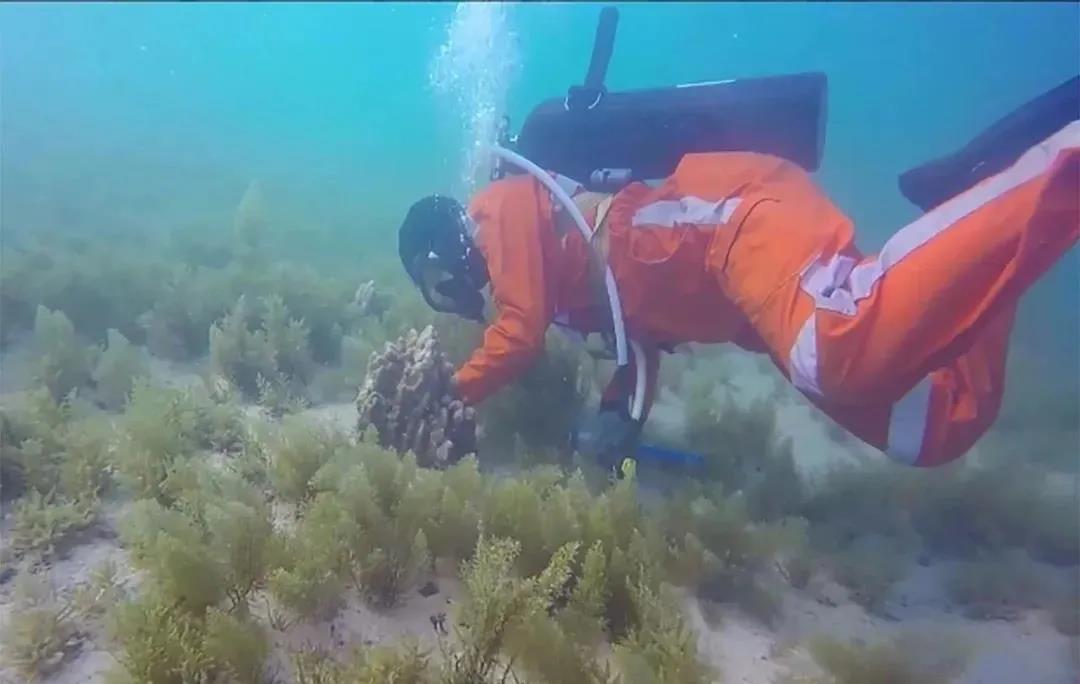 �й����ط�����(�ɷ�)���޹�˾-�ٷ���վ